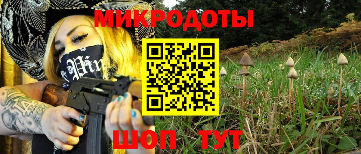 Калач-на-Дону  Псилоцибиновые грибы мицелий  Псилоцибиновые грибы ЛСД  Вход с VPN 