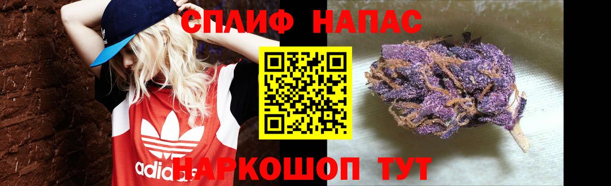Бошки Шишки семена  Бошки Шишки сатива  Канабис план  Калач-на-Дону  Вход с VPN  Марихуана ГИДРОПОН 